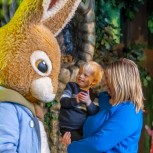 Peter Rabbit: Explore and Play