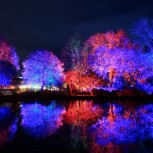 RHS Glow at Wisley