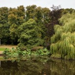 Lady Alice's Temple and Pond