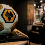 Wolves Stadium Tours