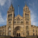 The Natural History Museum