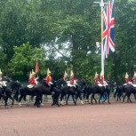 Changing of The Guard Private Black Cab Tour