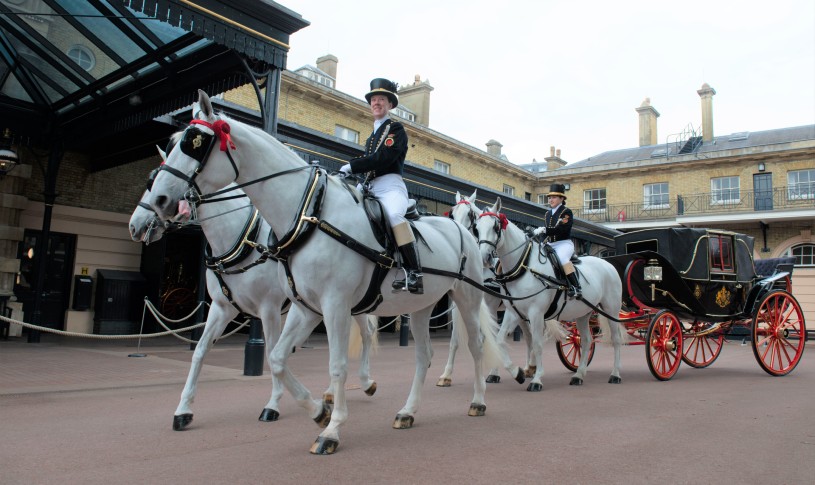 Windsor Grey Horses with Carriage