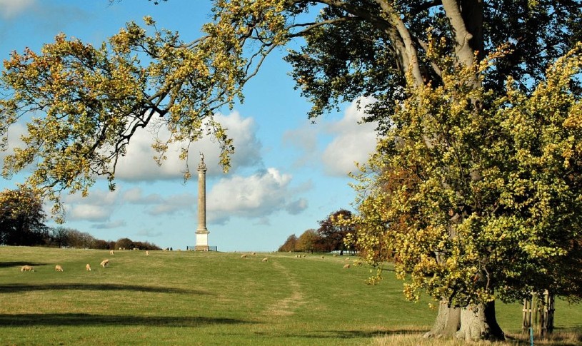 Blenheim Palace