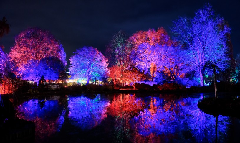 RHS Glow at Wisley