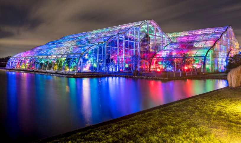 RHS Glow at Wisley