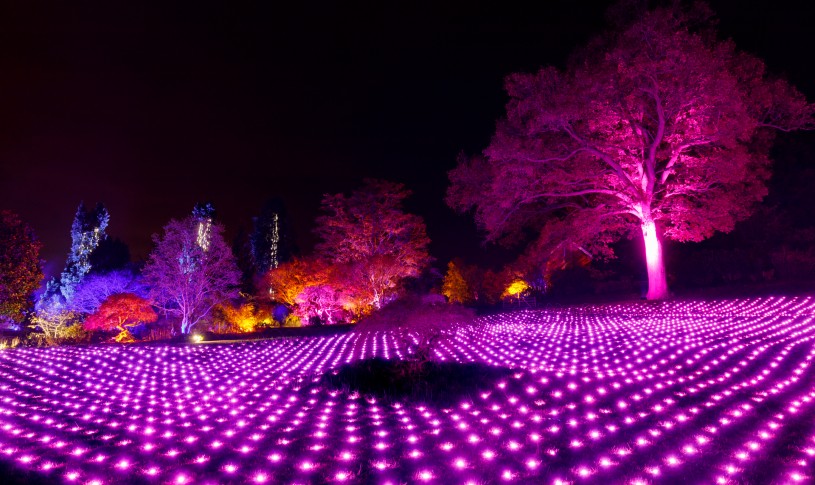 RHS Glow at Wisley