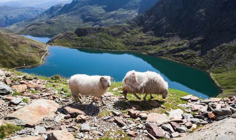 Snowdonia