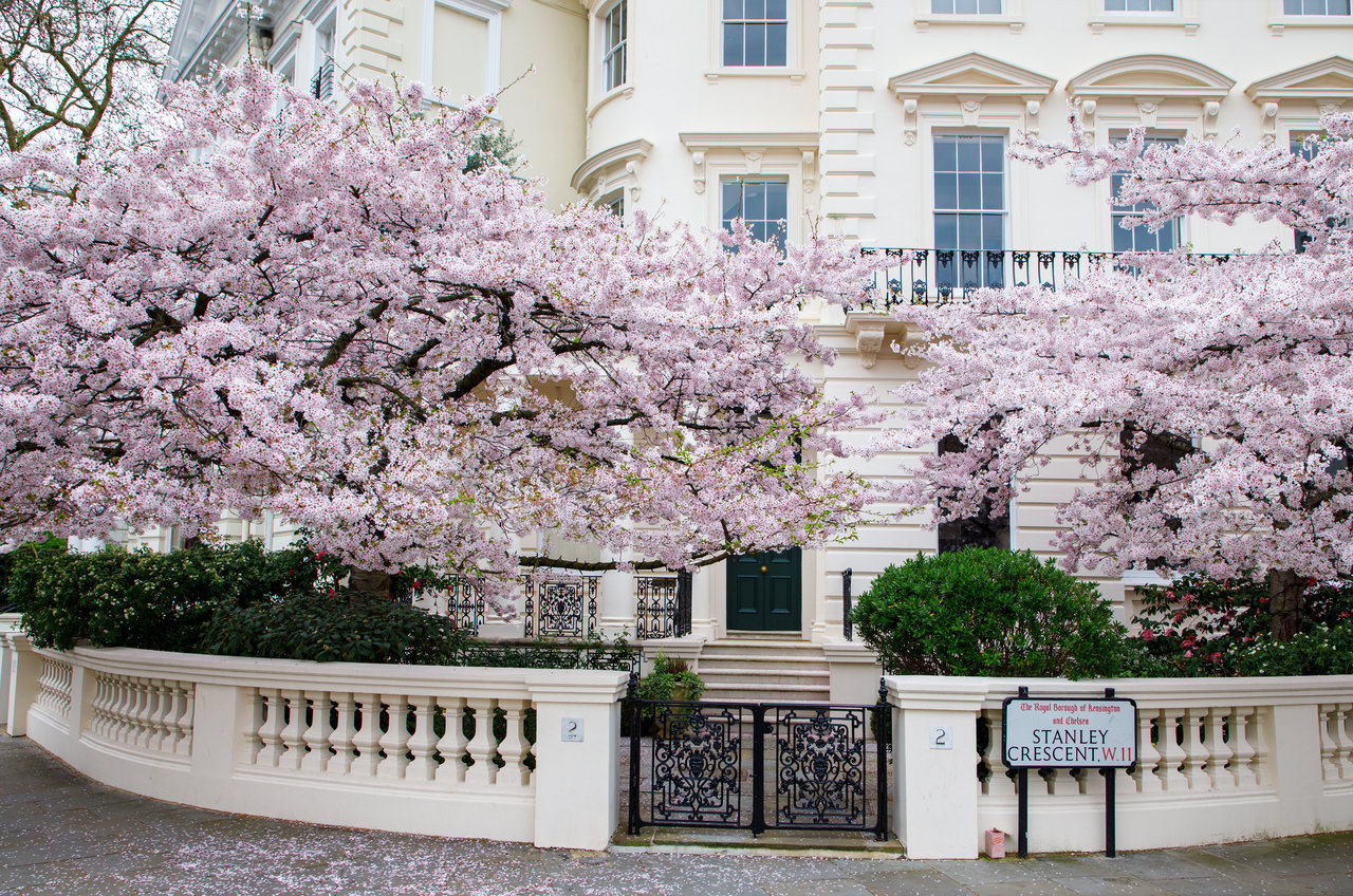 The Best Places To See Cherry Blossom In London